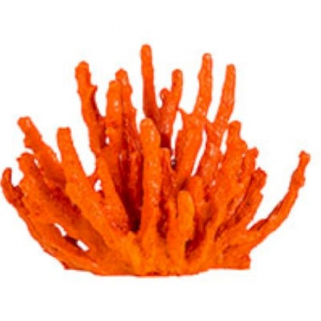 Коралл 17х10х(h)13см RED детальная картинка 