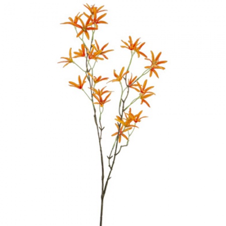 Ветка оранжевой твидии 27x12x(h)79см TWEEDIA ORANGE детальная картинка 