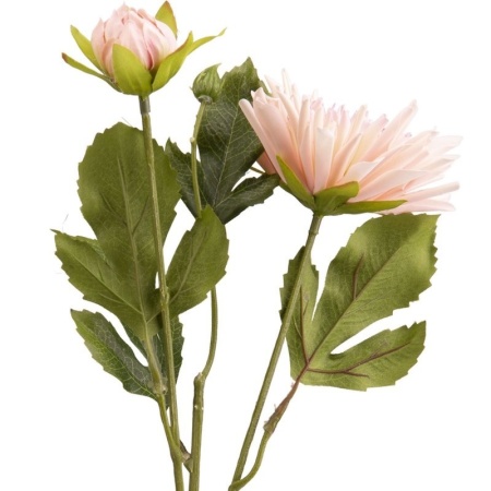 Ветка розового лютика 13x13x(h)43см RANUNCULUS PINK детальная картинка 