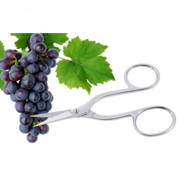 Фото Ножницы для винограда 16см